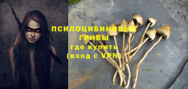 трава Кущёвская