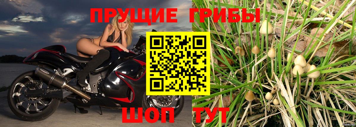 Галлюциногенные грибы прущие грибы  Димитровград 