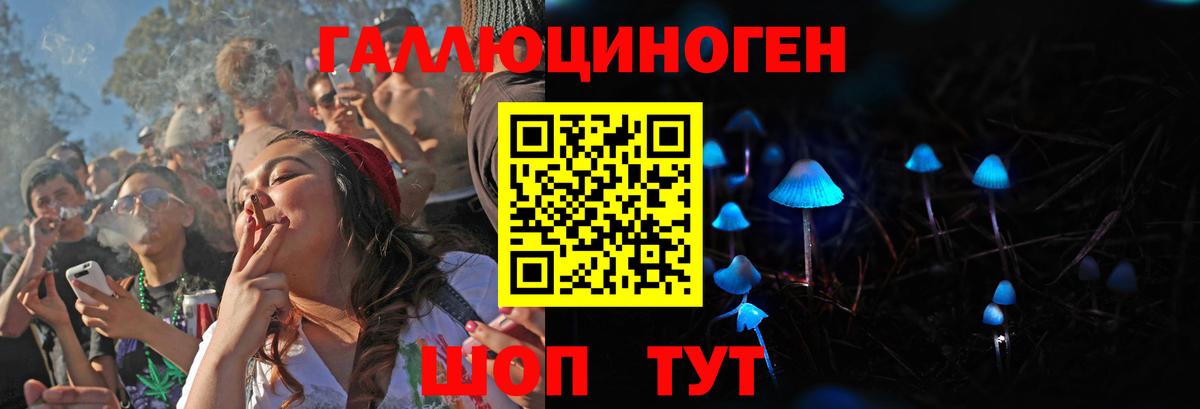 Псилоцибиновые грибы Cubensis Димитровград